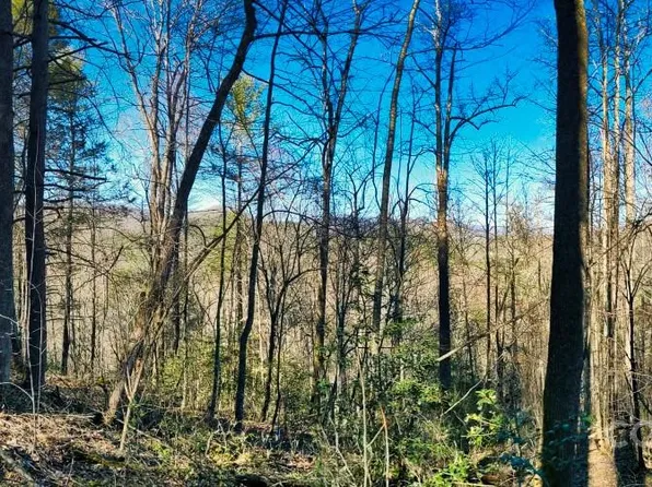 16 Bear River Lodge Trl, Marshall, NC 28753