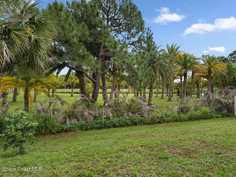 7349 Tourmaline Dr — Photo 20