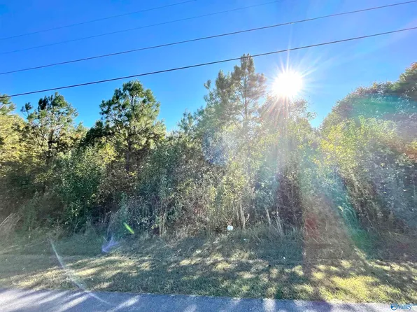 1.87 E East Hwy, Boaz, AL 35957