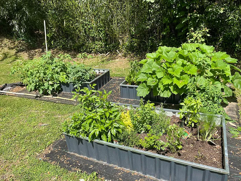 Vegetable/Herb Garden. (Tenant will need to do their own planting for the season.)