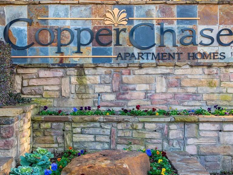Copper Chase — Photo 13