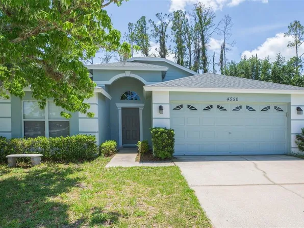 4550 Roundview Ct, Land O Lakes, FL 34639