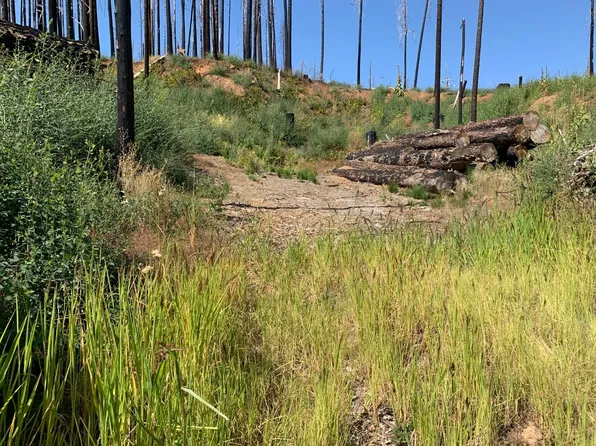 Parkside Dr, Grizzly Flats, CA 95636