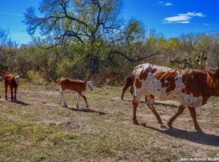 963 County Road 255, Falls City, TX 78113
