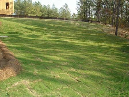 Acre Lot! Gorgeous Backyard!