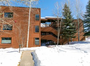 1112 Vine St, Aspen, CO 81611
