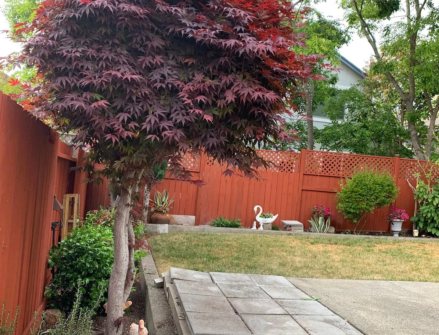 3 bed, 1819 sqft, $3,850 — Photo 3