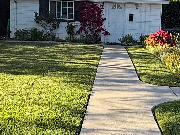 Walnut Ave — Photo 5