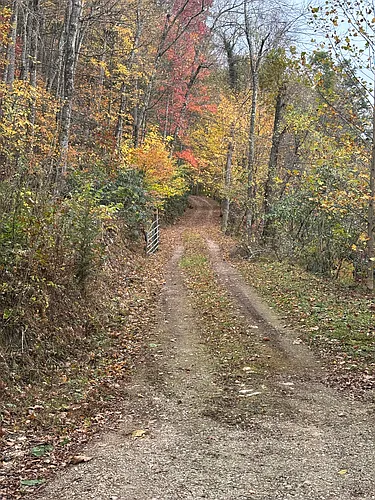 6919 Big Dry Run Rd Photo 1