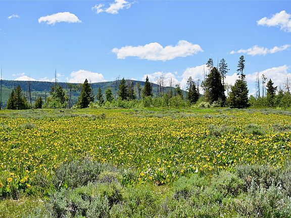 4th image of 195 Halter Trail