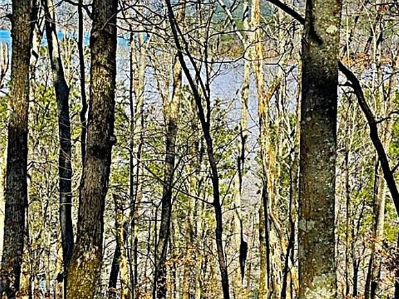 2nd image of 0 Overlook Dr #20