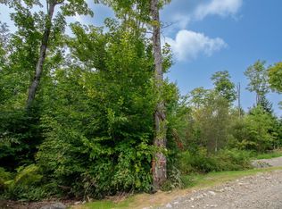Lot1 Bear Brook Subdivision, Sebec, ME 04481