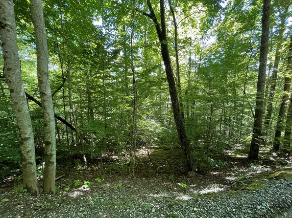 LOT 14 Shady Vale, Bryson City, NC 28713