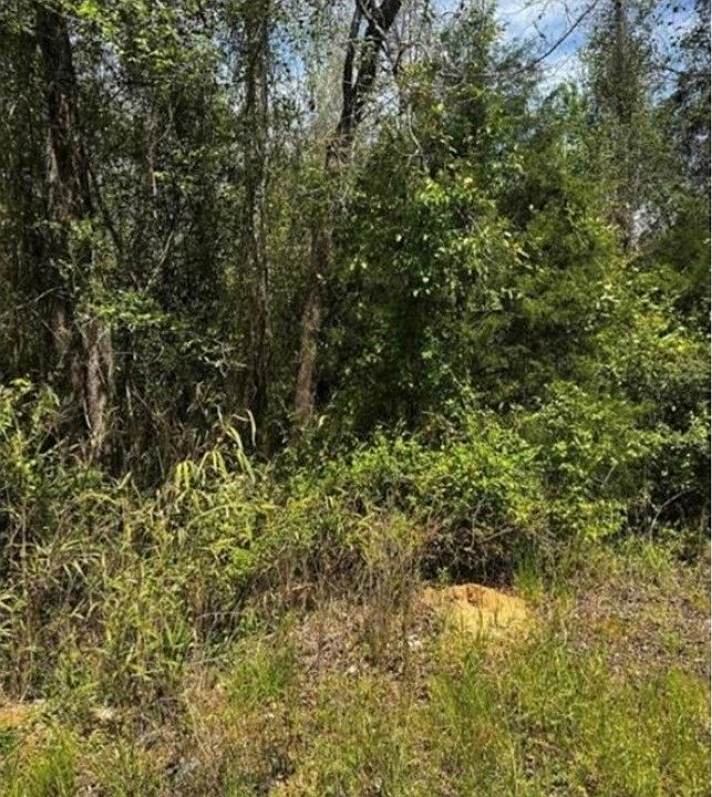 2nd image of 0 County Road 40 W