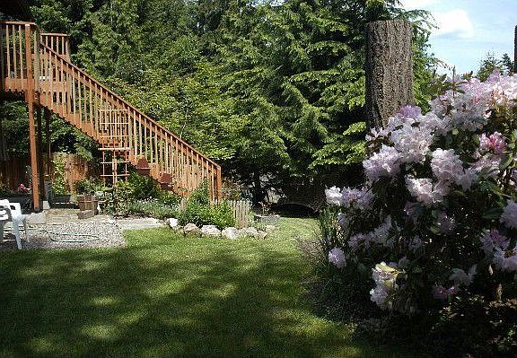 Back yard