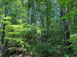 LT Seven Quarry Ct, Ellijay, GA 30540