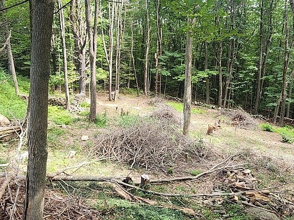 2nd image of 0 Crestwood Dr