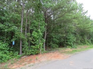 0 Agnes Douglas Rd, Fort Mill, SC 29707