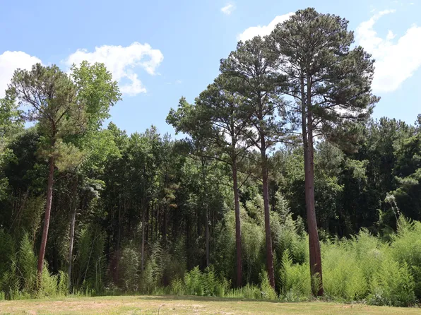 2913 State Highway 27 E, Coats, NC 27521