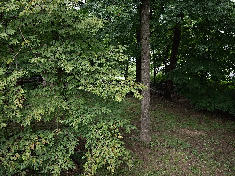 1216 Jacksons Hill Rd — Photo 39