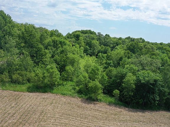 5th image of XXX Highway 87/Bucklund Road