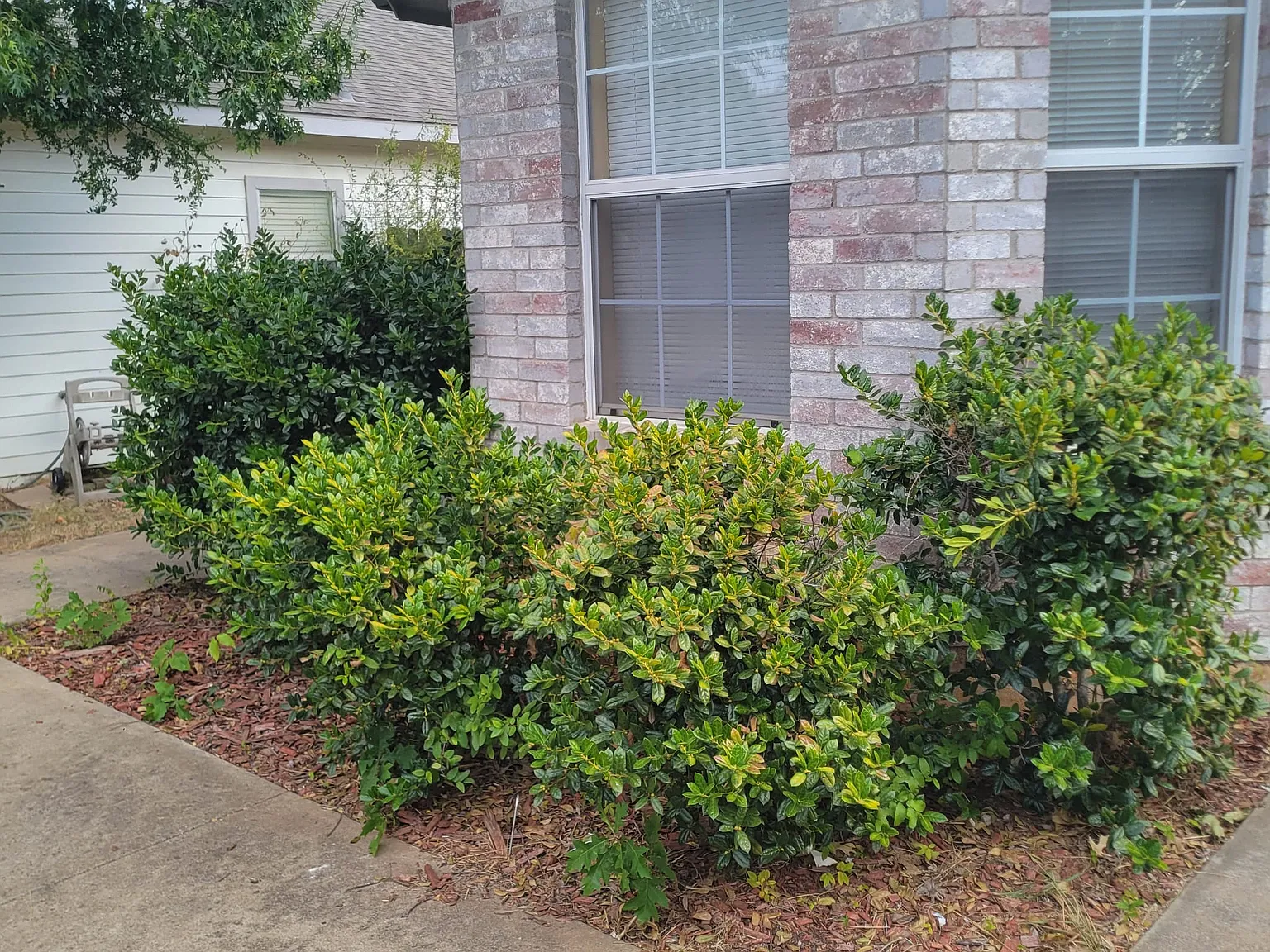 3 bed, 1375 sqft, $2,200 — Photo 2