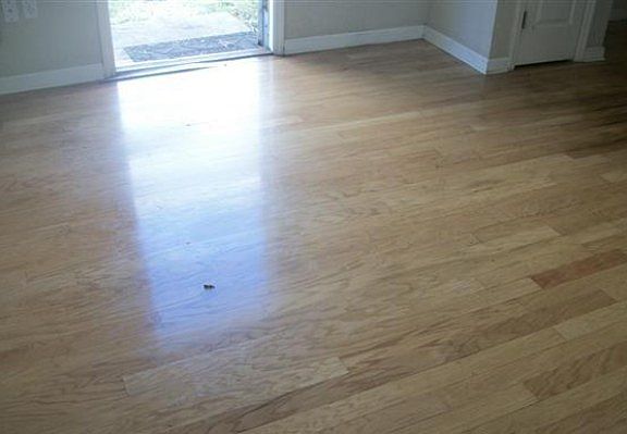 5th image of 348 Chastain Ln