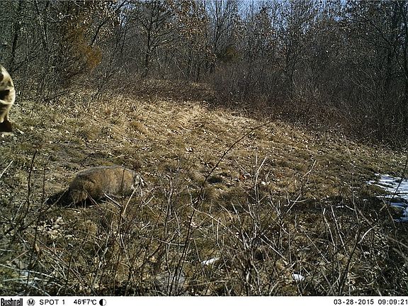 5th image of N/A Bush Rd.