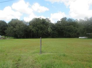 26091 Dayflower Blvd, Wesley Chapel, FL 33544