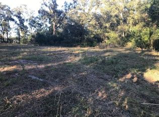 6907 Holly St, Mount Dora, FL 32757