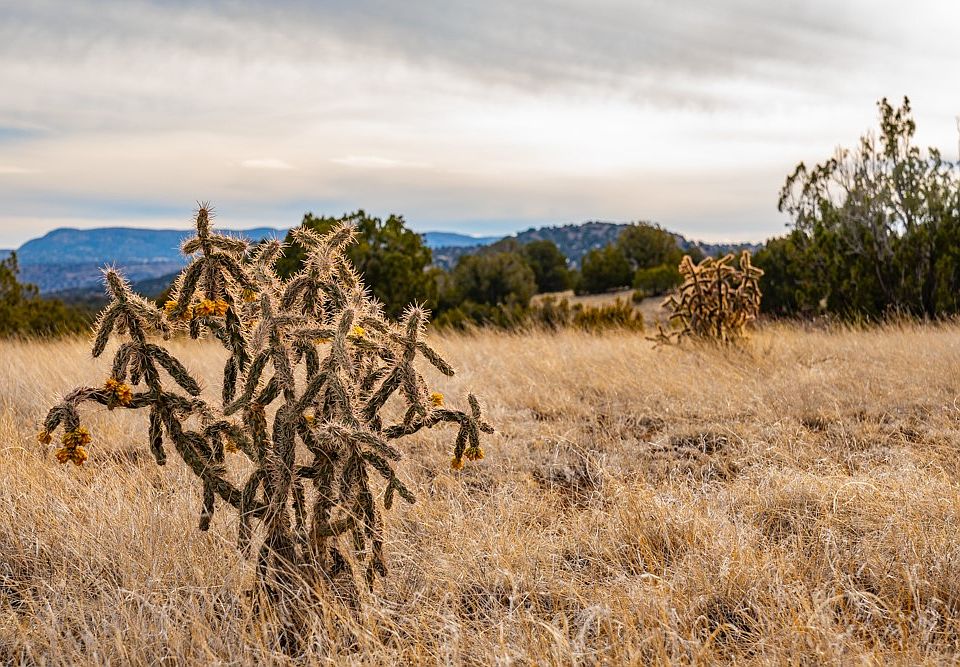 48 Three Sisters Ln Cerrillos NM Zillow