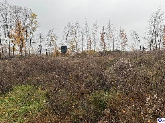 2nd image of TRACT 7 Cook Ln