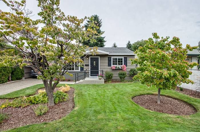 Front yard with trees