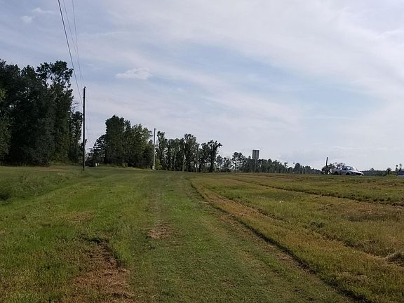 5th image of 3794 Highway 231
