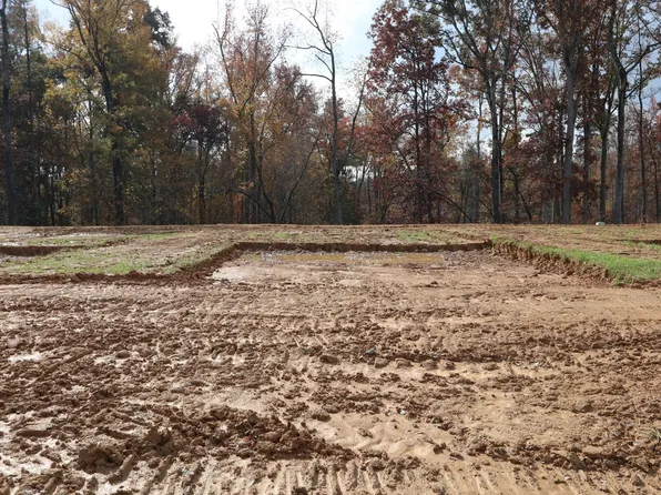 3163 Mission Olive Pl, New Hill, NC 27562