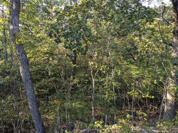 36 Starlite Ave #15, Eureka Springs, AR 72631