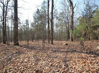 Hwy 300 Spur, Roland, AR 72135