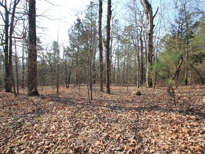 300 Highway Spur, Roland, AR, 72135