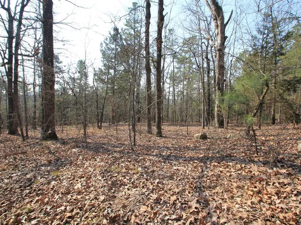 Hwy 300 Spur, Roland, AR 72135