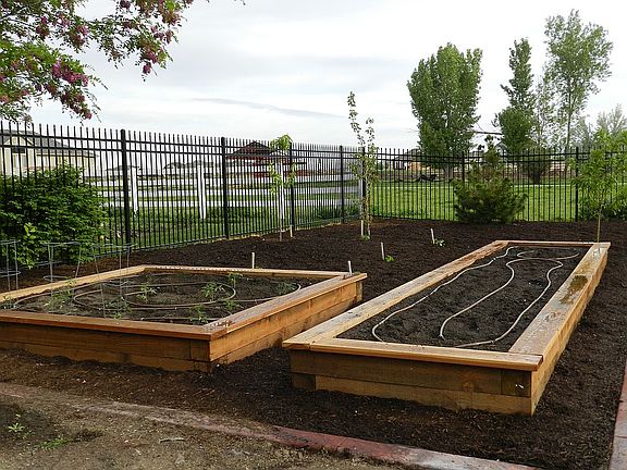 Garden boxes - watered