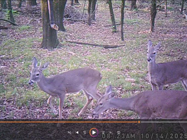 Private Road 5042, Bogata, TX 75417