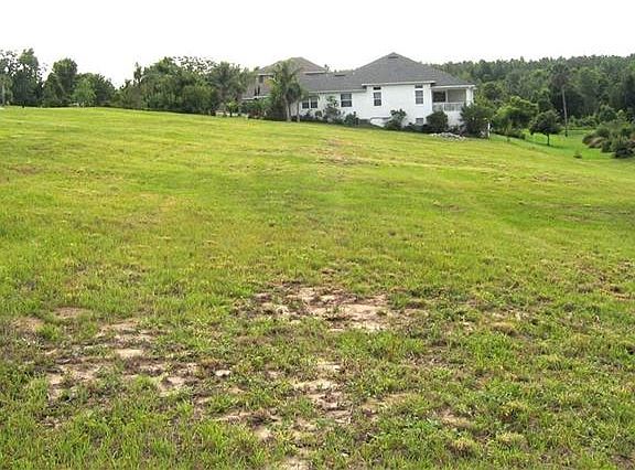 4th image of 16845 Apopka Springs Blvd
