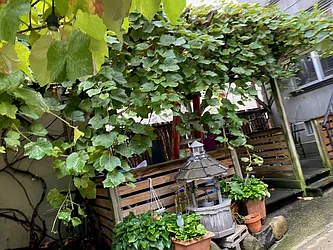 Rented by Owner