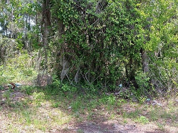 2nd image of 215 & 217 Country Walk