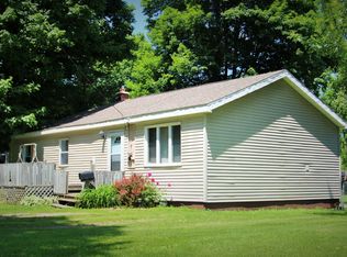 246 E Catherine St, Bellevue, MI 49021