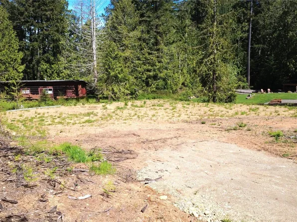 41 E Wildwood Lane, Brinnon, WA 98320