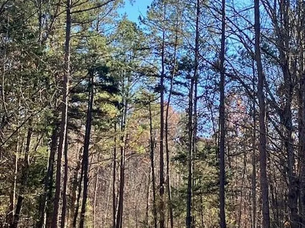 2 Madison Cres #410, Fredericktown, MO 63645