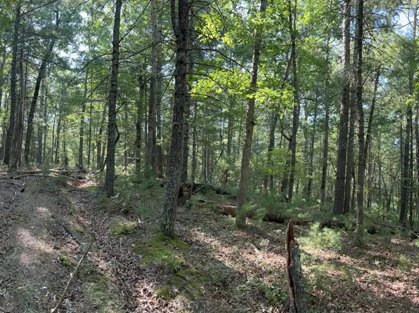 0 Black Diamond Dr #95, New Castle, VA 24127