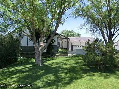 a luscious lawn, trees and shrubs