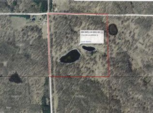 00 Littlefield, Farwell, MI 48622